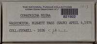 Image Associated With the Occurence